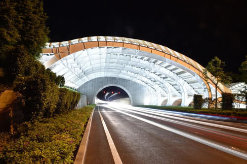  【计划】中国再次登顶世界之最，计划建造世界最大水底隧道，超