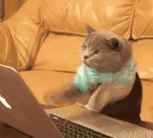 蓝霸屏:除了14日 未来三天都是福州蓝霸屏