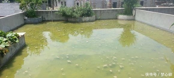  #家宅#在家宅了12天，这群钓鱼人也待不住了，花式钓鱼谁更强