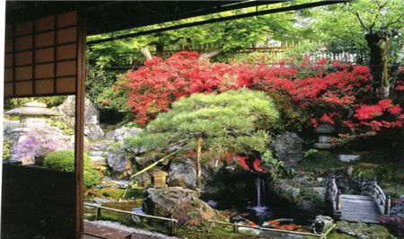  [庭院]五大庭院风格的植物搭配