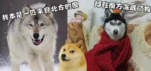  感觉■为什么北方有时零下十几度了感觉还没有南方零下几度冷？