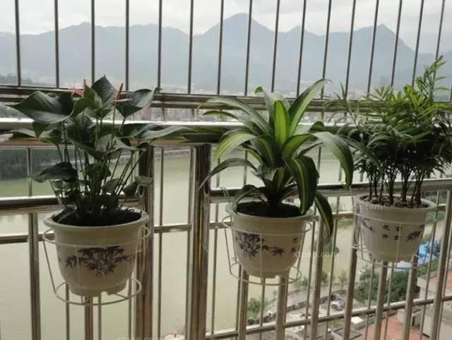  回家■别人家的阳台好美，跟花艺师学了5种阳台种花的方法，回家搞起来