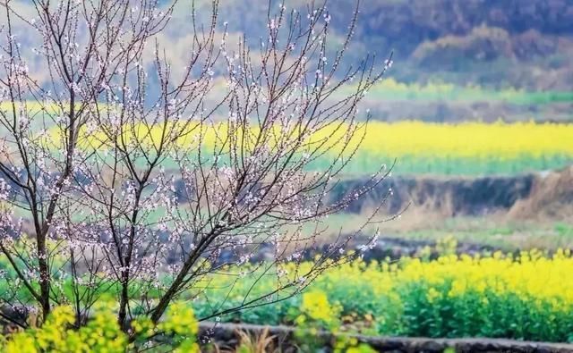 春天最美的十二个地方，你最想去哪个？