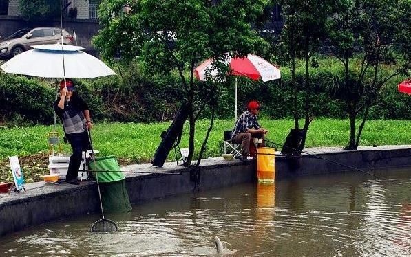  「中招」在黑坑用台钓法钓鱼，新手经常犯这9个错误，仔细看看你中招了吗