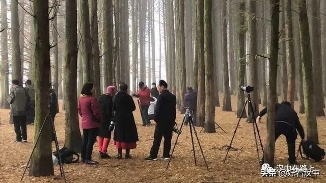 大雪过后的汉中龙池特别适合汉服摄影，不信你看