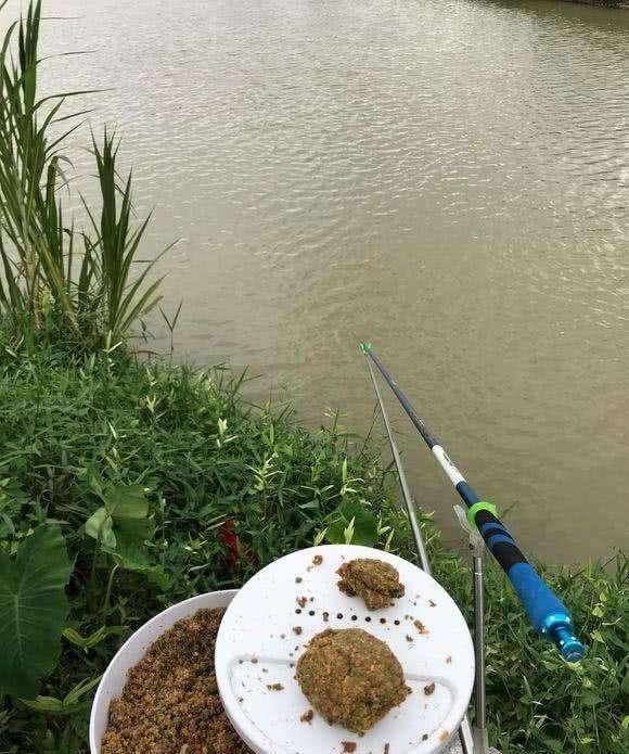  鲫鱼喜欢|初夏清晨小河钓鲫鱼老三样鱼口不怎么好怎么回事？