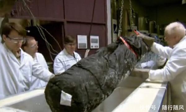 你相信永生吗 世界第一位冰冻人即将复活了!