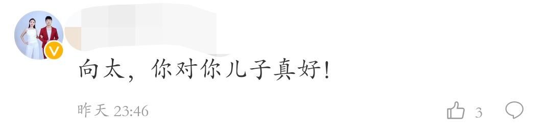向太陈岚发文力挺干儿子黄晓明，遭网友质疑立马回怼：你才遭雷劈