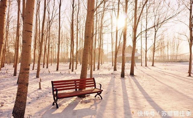 山东是北方还是南方为什么很多东北人说是南方