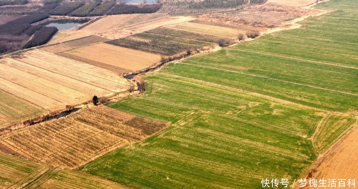 未来5年，农村最贵的不是房与车，这4种东西才无价，且行且珍惜