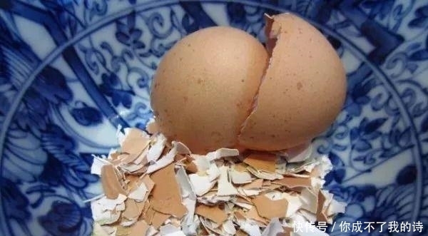  特别|可以给植物补充钙和钾元素的鸡蛋壳，使用方法特别简单