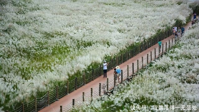 中秋节离城区最近的打卡地，不收门票早晚人很多，你想去看看？