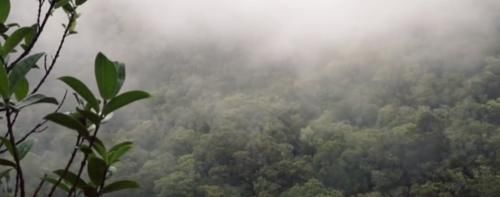 世界最湿的地方,几乎天天下雨,连被子都长出蘑菇!