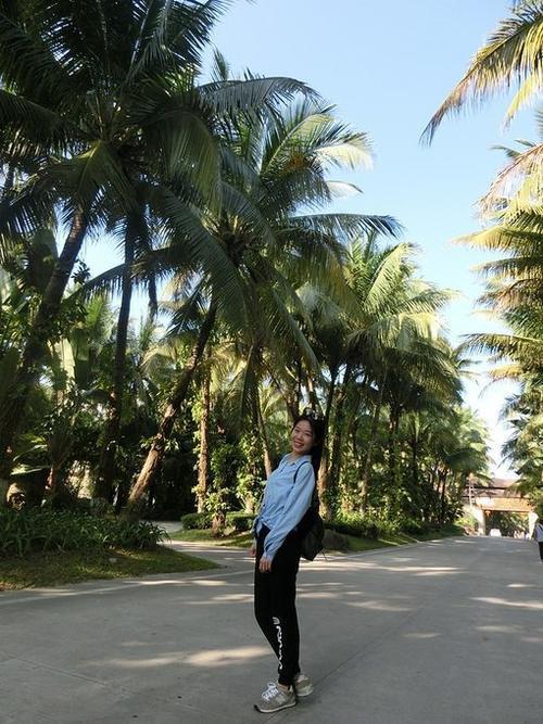 水清沙白的他乡——三亚。