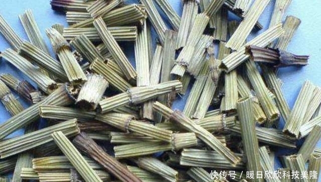 身价■农村一种被忽视的野草,现在身价猛增,一斤可以卖到800元!