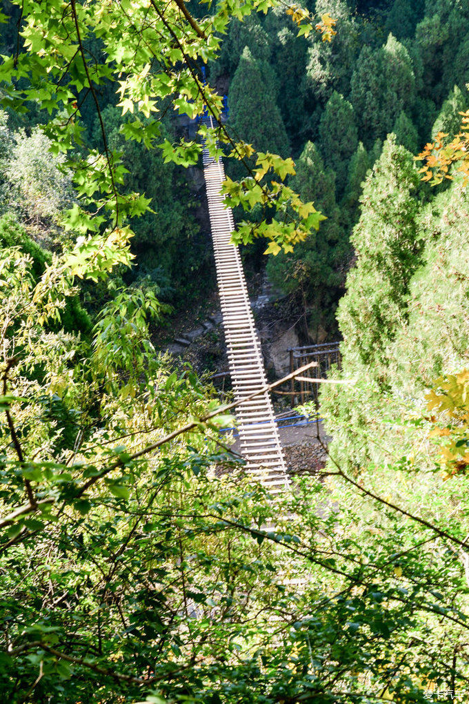 红遍万山的红叶谷【2020热门旅游景点】