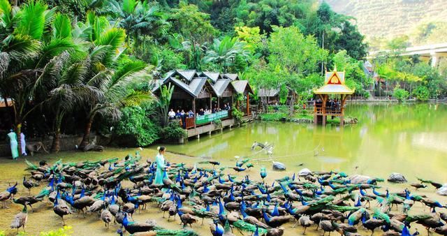  雨崩■云南旅游一定要去的10个地方！