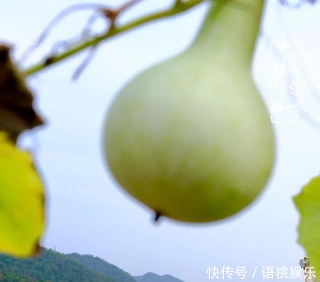  #喜欢#一粥一饭填饱肚子，一屋一花神仙日子！生命不止，玩趣不停！