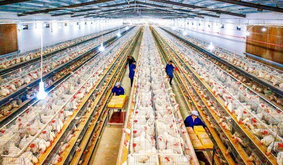  增收@扶贫车间复工稳增收