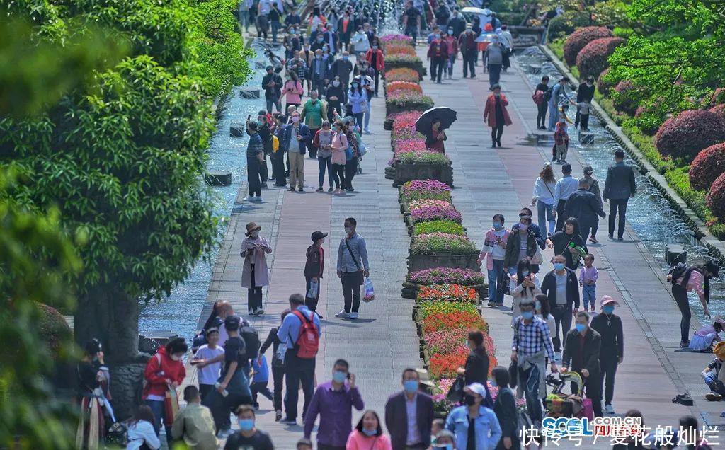  都江堰：境界丨四月芳菲 畅游都江堰