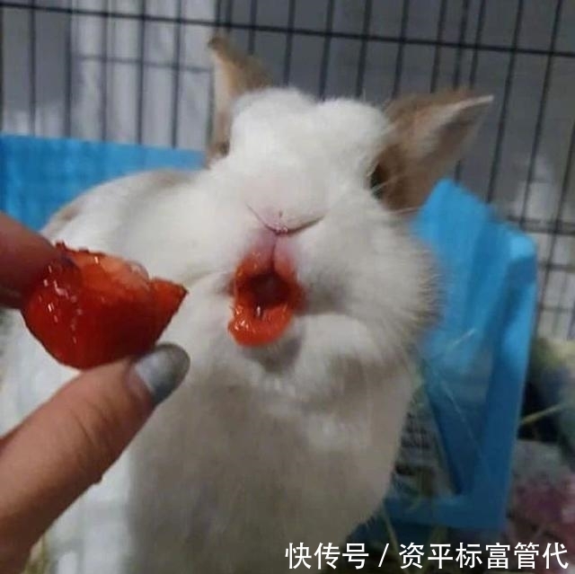  位网友：“网购一个卷发棒，客服叫我亲，结果....”这是什么沙雕操作？哈哈哈哈