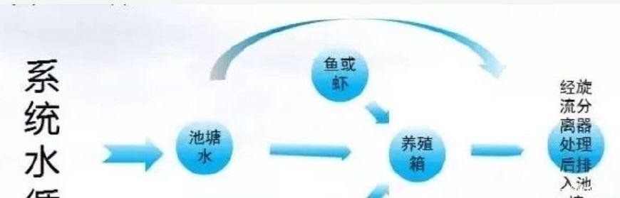 厉害了, 养鱼不用鱼塘而是用集装箱, 效益是普通鱼塘的3倍