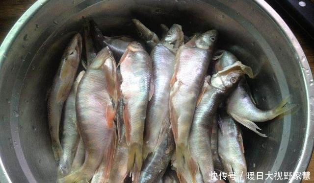  割肉■“割肉不割槽头肉，买鱼不买鲫壳鱼”啥意思，槽头肉真不