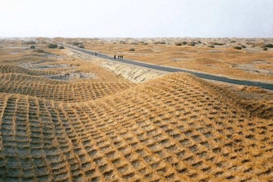  「国人」国人发明的“草方格”：成功在世界各地推广，被国外称