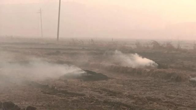因露天焚烧秸秆问题 哈尔滨五常市70名相关人员被处理