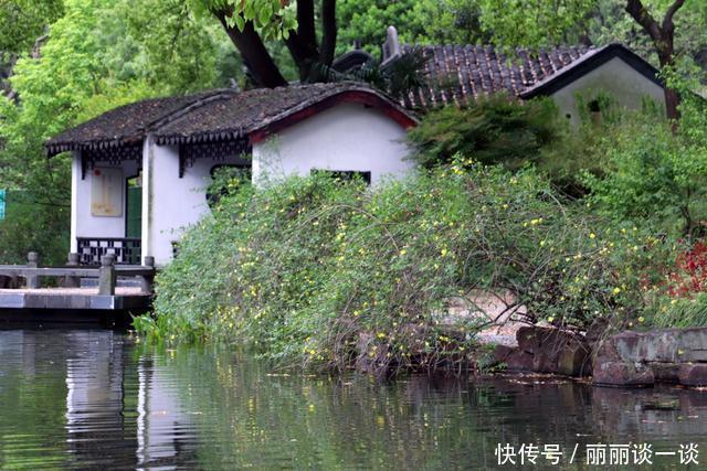  「美好」活成植物的姿态，不动声色地美好着