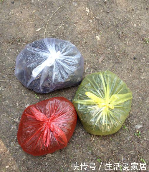  『花儿』自带肥力的3种花土，用上1种不烂根不黄叶，花儿蹭蹭疯长！