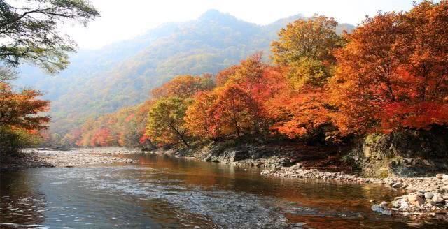 国庆期间东北枫叶最美的地方，不但不要门票，而且游客也比较少