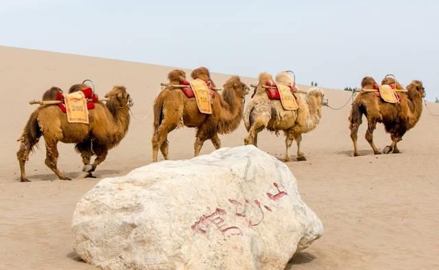 90%的游客没看过，航拍真正沙漠绿洲，敦煌月牙泉胜迹