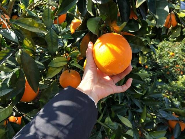  [转型]在农村，想发家不能靠种地，这3行是赚钱“捷径”，想转型