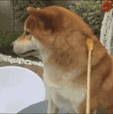 让人香喷喷滑溜溜的身体护理有多快乐?你们根本想象不到!