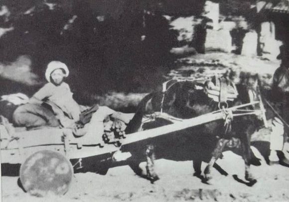  工作：林徽因35张工作照，很是珍贵！每一张都很美！