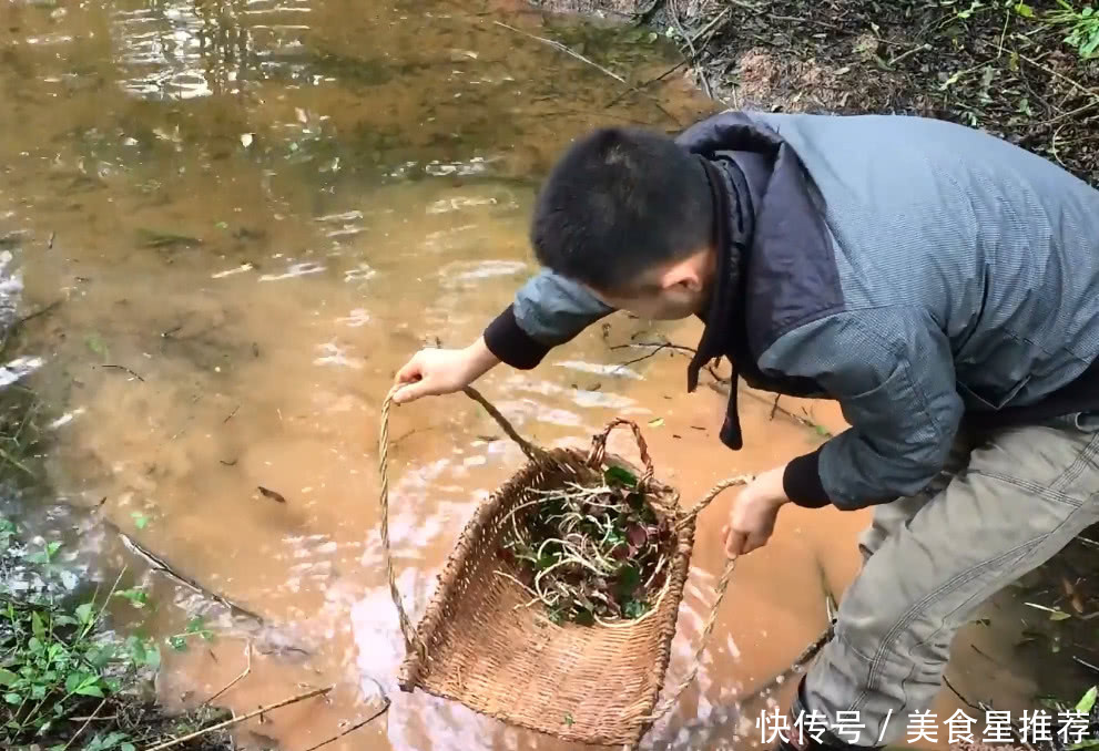 这种野菜就生长在农村田坎上，挖回家凉拌生吃，没肉胜过有肉