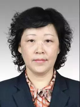 上海拟任3位副区长：“政府第一委”70后女掌门拟提拔