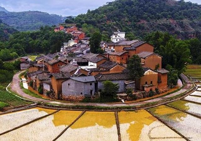 曾被央视表扬的小山村，稻谷种出各种图案，惊艳了每一位游客