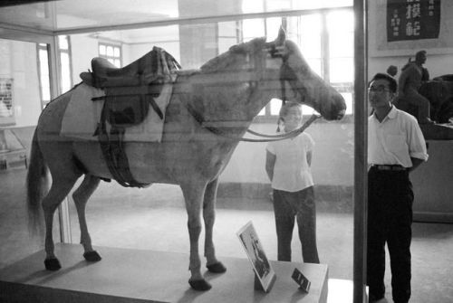 外国摄影师镜头下的1960年代延安