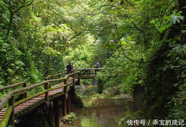 四川最“神秘”的寺庙，众多明星前来祈福，却位于道教圣地