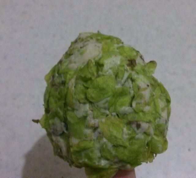  榆钱■榆钱窝窝头，怎能错过如此美味