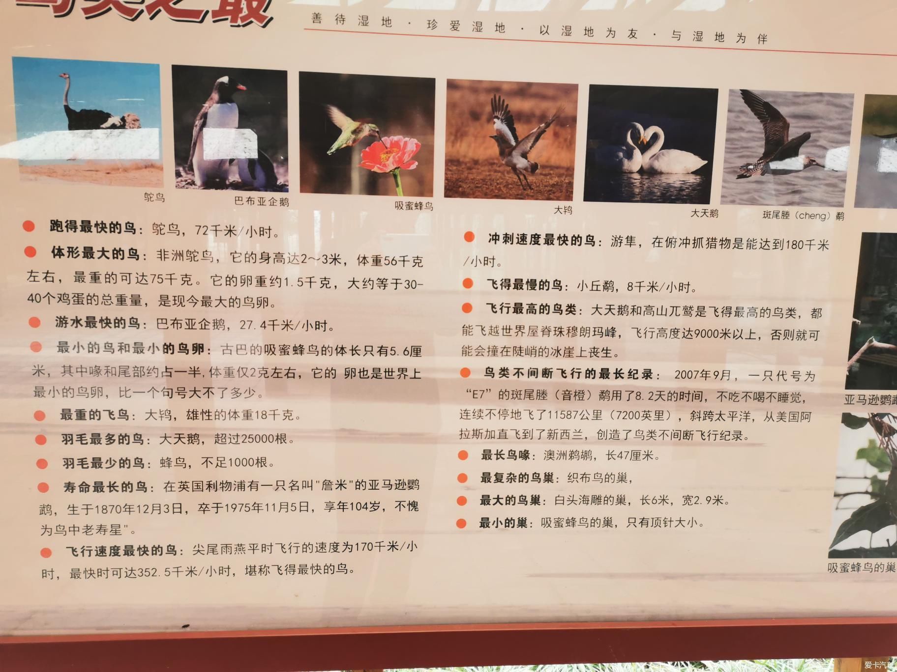 春晚歌曲母亲河