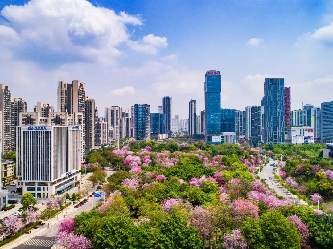 广西有望晋升为二线的城市，被称为“桂中商埠”，不是桂林市