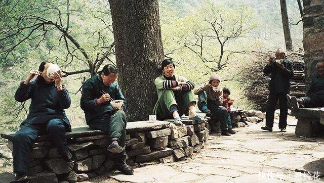 农村俗语“树夹房墙上墙，不败也得亡”，什么意思，有道理吗？