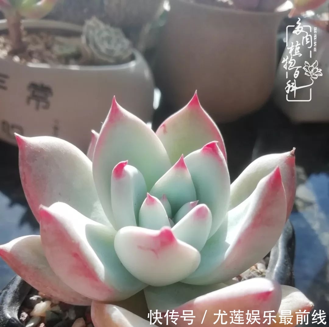  『那种』我爱的，就是你的存在！只要努力该来的都在路上！