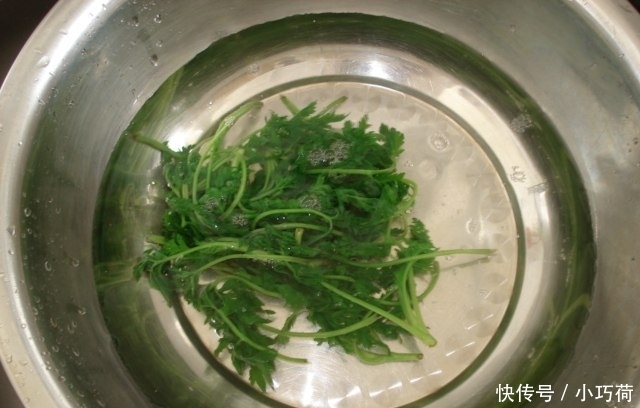 【就要】清明前后,这草遍地都是,女性一定多吃,错过就要等明年