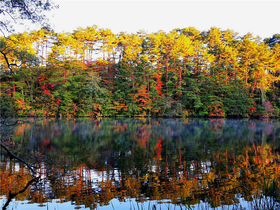 日本秋色 红叶正当时