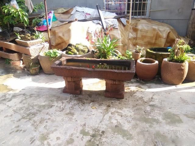 城里人咋想的？专从农村收购老物件，300斤猪槽也要买了放院子里