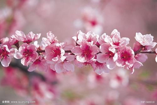 生辰八字旺衰的判断方法